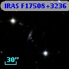 IRAS F17508+3236