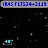 IRAS F17534+3119