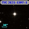TYC 2621-1307-1
