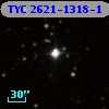 TYC 2621-1318-1