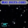 IRAS 18173+3103