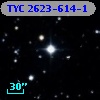 TYC 2623-614-1