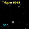 Trigger  5955