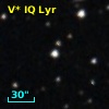V* IQ Lyr