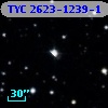 TYC 2623-1239-1