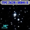 TYC 2628-1604-1