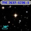 TYC 2637-1236-1