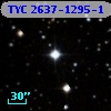 TYC 2637-1295-1