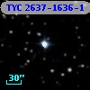 TYC 2637-1636-1