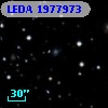LEDA 1977973