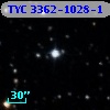 TYC 3362-1028-1