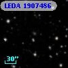 LEDA 1907486