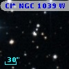 Cl* NGC 1039      W    1352
