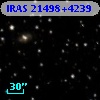 IRAS 21498+4239