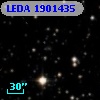 LEDA 1901435