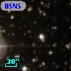BSNSS  32