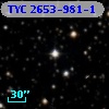 TYC 2653-981-1