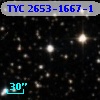 TYC 2653-1667-1
