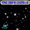 TYC 2653-2175-1