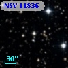 NSV 11836