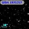 LEDA 1975257