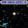 TYC 2921-1772-1