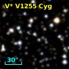 V* V1255 Cyg