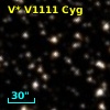 V* V1111 Cyg