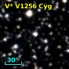 V* V1256 Cyg