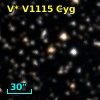 V* V1115 Cyg