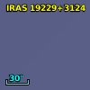 IRAS 19229+3124