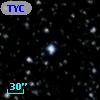 TYC 2137-2305-1