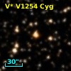 V* V1254 Cyg
