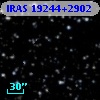IRAS 19244+2902