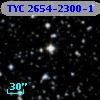 TYC 2654-2300-1