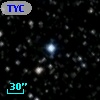 TYC 2137-1090-1
