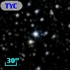 TYC 2137-1216-1