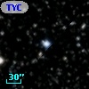 TYC 2137-1276-1