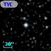 TYC 2137-308-1