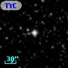 TYC 2137-1336-1