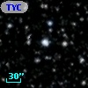 TYC 2137-1636-1