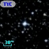 TYC 2137-1677-1