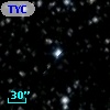 TYC 2137-1990-1