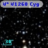 V* V1260 Cyg