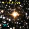 V* V918 Cyg