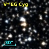 V* EG Cyg