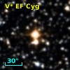 V* EF Cyg