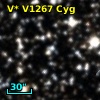 V* V1267 Cyg