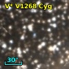 V* V1268 Cyg