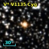 V* V1135 Cyg